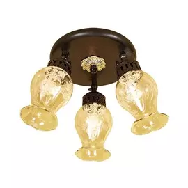 Спот Citilux МЕТАФОРА КОРИЧНЕВЫЙ CL413131