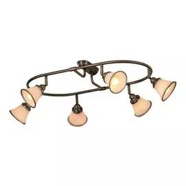 Спот Citilux ПРОВАНС CL511163