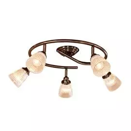 Спот Citilux ВИНДЗОР CL539551