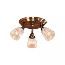 Спот Citilux ВИНДЗОР CL539631