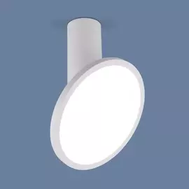 Спот Elektrostandard DLS029 4690389149054