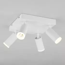 Спот Eurosvet Holly 20067/4 LED 4690389143328