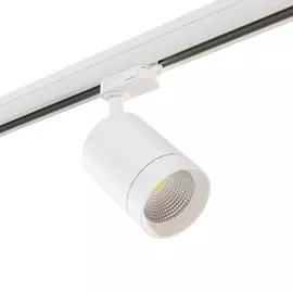 Спот Lightstar CANNO 301562