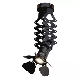 Спот Loft It CINEMA LOFT3095-S