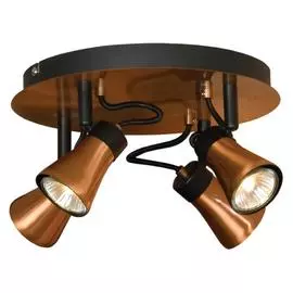 Спот Lussole Fortelano LSL-6801-04