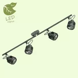 Спот Lussole HAINES GRLSP-8047