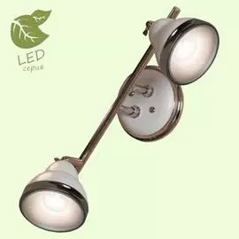 Спот Lussole LITTLETON GRLSN-6201-02