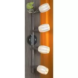 Спот Lussole BRINDIDI GRLSX-6709-04