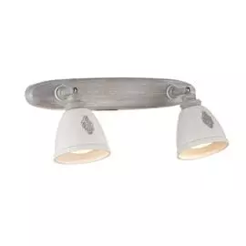 Спот Maytoni AGNES SP289-CW-02-BG