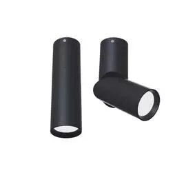 Спот Maytoni DAFNE C027CL-L10B