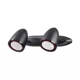 Спот Odeon Light IMAGIO 3824/2W