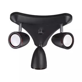 Спот Odeon Light IMAGIO 3824/3C