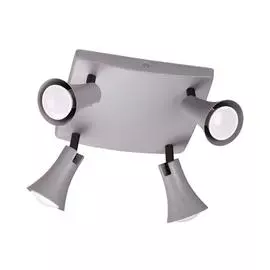 Спот Odeon Light REANNA 3825/4C