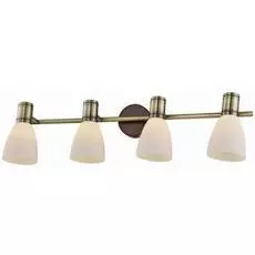 Спот Toplight Sharyl TL3720Y-04BB