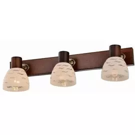 Спот Toplight SHAYLA TL3730Y-03BB