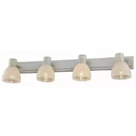 Спот Toplight SHONA TL3740Y-04WG