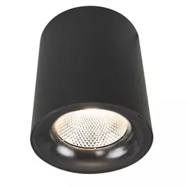 Светильник Arte Lamp A5118PL-1BK