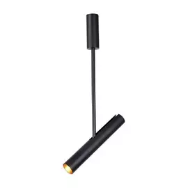 Светильник Arte Lamp Andromeda A2509PL-1BK