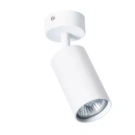 Светильник Arte Lamp AQUARIUS A3216PL-1WH