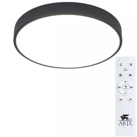Светильник Arte Lamp Arena A2661PL-1BK