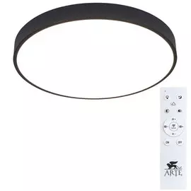 Светильник Arte Lamp ARENA A2672PL-1BK