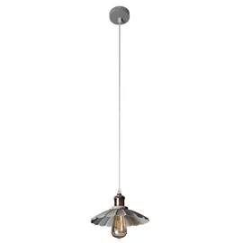 Светильник Arte Lamp Asti A8160SP-1GY
