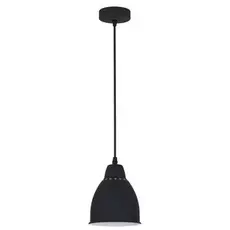 Светильник Arte Lamp BRACCIO A2054SP-1BK