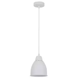 Светильник Arte Lamp BRACCIO A2054SP-1WH
