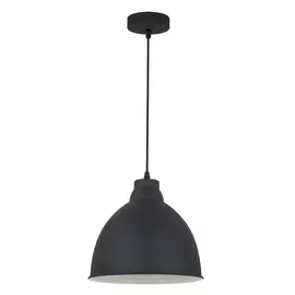Светильник Arte Lamp BRACCIO A2055SP-1BK