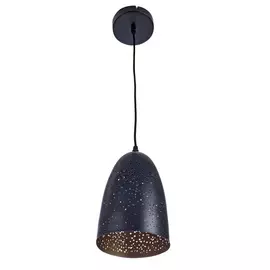 Светильник Arte Lamp Buchino A1615SP-1BK