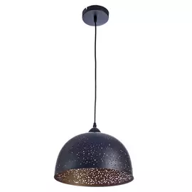 Светильник Arte Lamp Buchino A1630SP-1BK