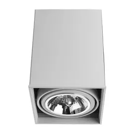 Светильник Arte Lamp Cardani Grande A5936PL-1WH
