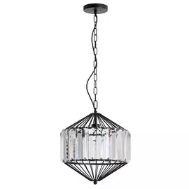 Светильник Arte Lamp CASSEL A1790SP-1BK