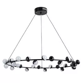 Светильник Arte Lamp DEXTER A3619SP-30BK