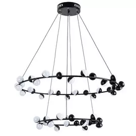Светильник Arte Lamp DEXTER A3619SP-48BK