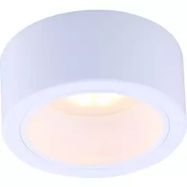 Светильник Arte Lamp Effetto A5553PL-1WH
