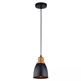 Светильник Arte Lamp EURICA A4248SP-1BK