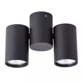 Светильник Arte Lamp Gavroche A1511PL-2BK