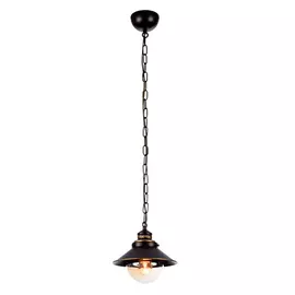 Светильник Arte Lamp Grazioso A4577SP-1CK