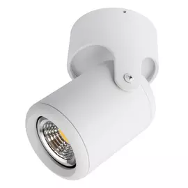 Светильник Arte Lamp LIBRA A3316PL-1WH