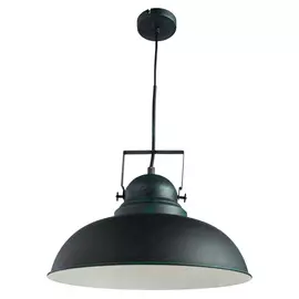 Светильник Arte Lamp Martin A5213SP-1BG