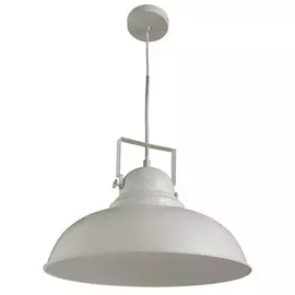Светильник Arte Lamp Martin A5213SP-1WG