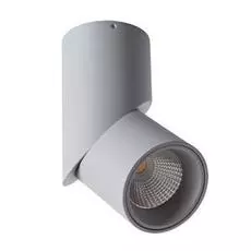 Светильник Arte Lamp ORIONE A7717PL-1GY