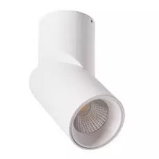 Светильник Arte Lamp ORIONE A7717PL-1WH