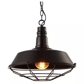 Светильник Arte Lamp PANDORA A9183SP-1BK