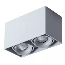 Светильник Arte Lamp Pictor A5654PL-2GY
