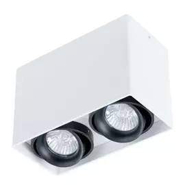 Светильник Arte Lamp PICTOR A5655PL-2WH