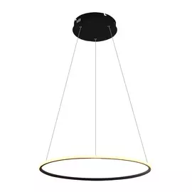 Светильник Arte Lamp RAPID A2500SP-1BK