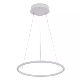Светильник Arte Lamp Rapid A2500SP-1WH