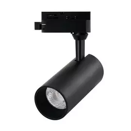 Светильник Arte Lamp REGULUS A4568PL-1BK